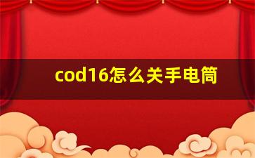 cod16怎么关手电筒