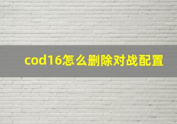 cod16怎么删除对战配置