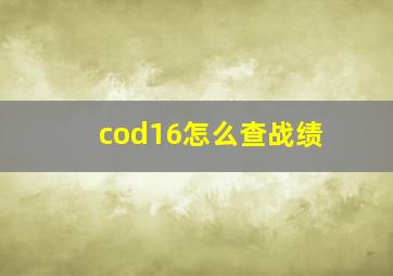 cod16怎么查战绩