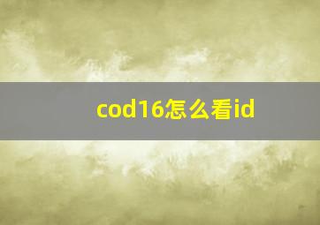 cod16怎么看id