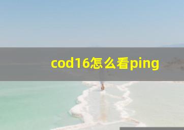 cod16怎么看ping