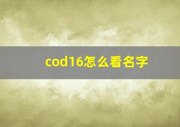 cod16怎么看名字