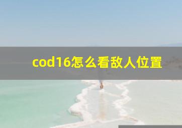 cod16怎么看敌人位置