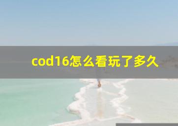 cod16怎么看玩了多久