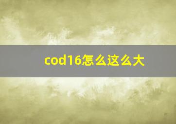 cod16怎么这么大