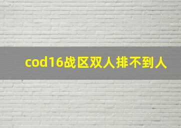 cod16战区双人排不到人