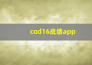 cod16战绩app