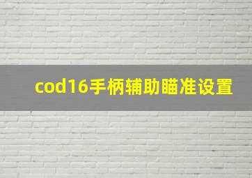 cod16手柄辅助瞄准设置