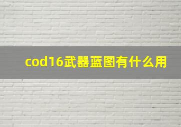 cod16武器蓝图有什么用