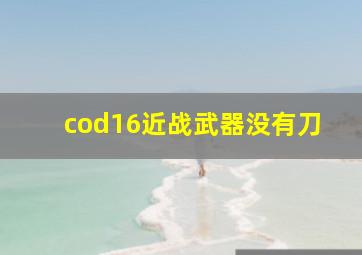 cod16近战武器没有刀