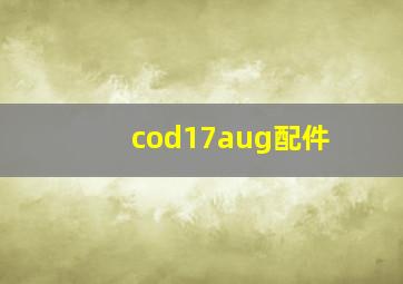 cod17aug配件