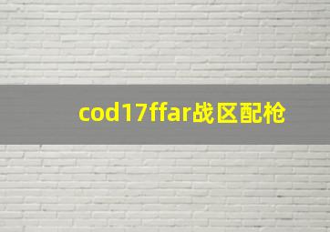 cod17ffar战区配枪