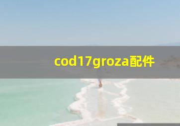 cod17groza配件