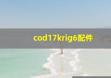 cod17krig6配件