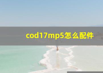 cod17mp5怎么配件