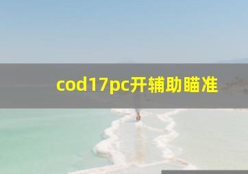 cod17pc开辅助瞄准