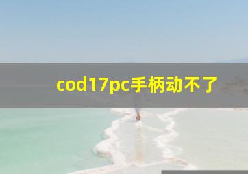 cod17pc手柄动不了