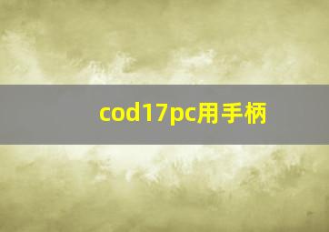 cod17pc用手柄