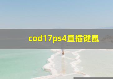 cod17ps4直插键鼠