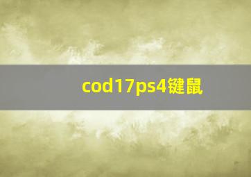 cod17ps4键鼠