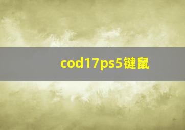 cod17ps5键鼠