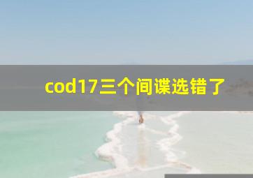 cod17三个间谍选错了