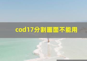 cod17分割画面不能用