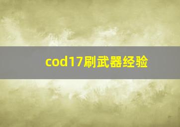 cod17刷武器经验