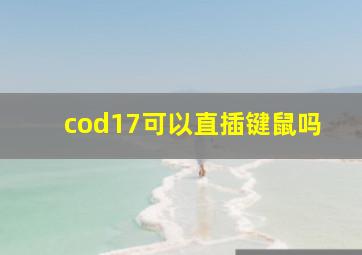 cod17可以直插键鼠吗