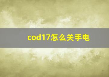 cod17怎么关手电