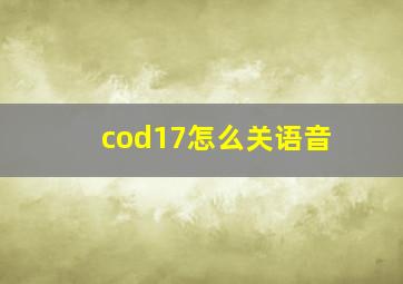 cod17怎么关语音