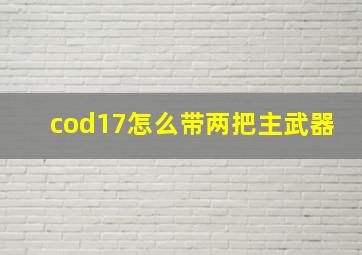 cod17怎么带两把主武器