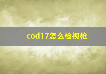 cod17怎么检视枪