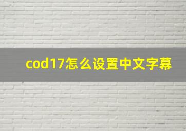 cod17怎么设置中文字幕