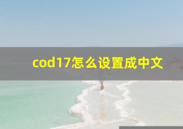 cod17怎么设置成中文