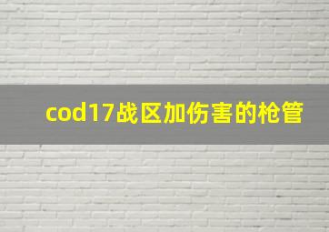 cod17战区加伤害的枪管