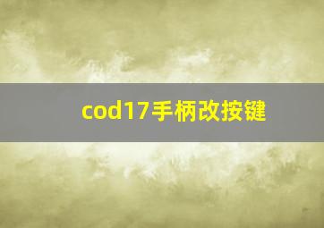 cod17手柄改按键