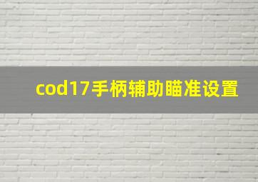 cod17手柄辅助瞄准设置