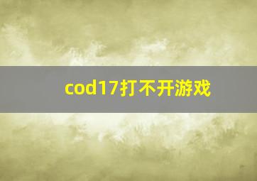 cod17打不开游戏