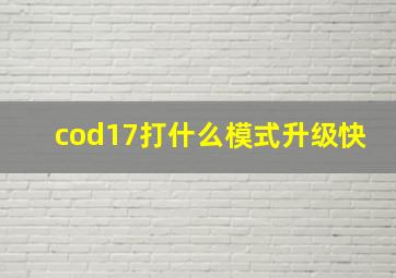 cod17打什么模式升级快