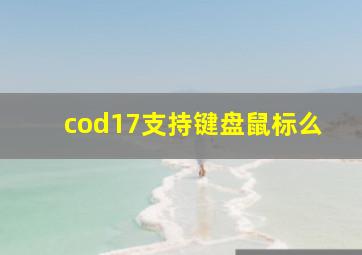 cod17支持键盘鼠标么