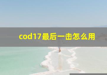 cod17最后一击怎么用