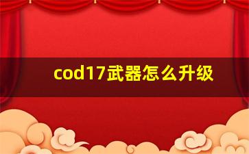 cod17武器怎么升级