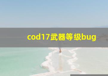 cod17武器等级bug