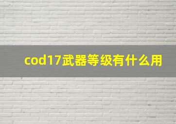 cod17武器等级有什么用