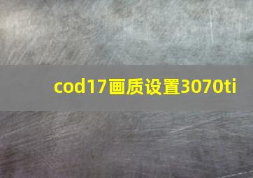 cod17画质设置3070ti