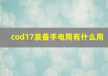 cod17装备手电筒有什么用