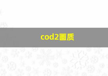 cod2画质