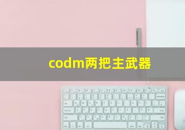 codm两把主武器