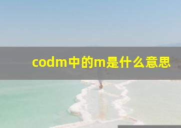 codm中的m是什么意思